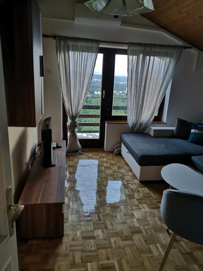 Apartment Gina Opatija Exterior foto